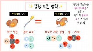 중3 화학반응 3강.질량보존법칙┃개념부터 차근차근‍