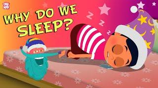 Why Do We Sleep? The Dr. Binocs Show  Best Learning Videos For Kids  Peekaboo Kidz