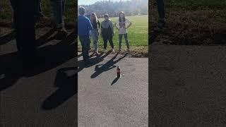 Coke and mentos experiment in earth science