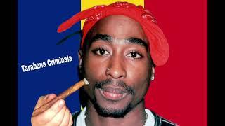 2pac - tarabana crimianala hit em up remix