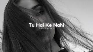 TU HAI KE NAHI - lofi flip - ft. nesh