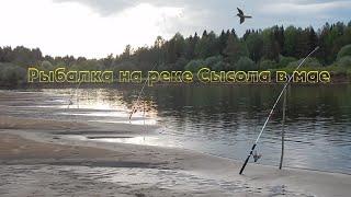 Рыбалка на реке Сысола в маеПервые трофеи на фидер