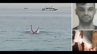 ШОК Из желудка акулы извлекли голову грудь и руки погибшего 23 летнего парня