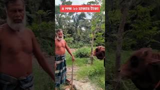 ৪ লক্ষ ২০ হাজার টাকার গরু #viralvideo #shortsvideo #funnyshorts #shorts #comedyvideo #funnyvideos