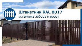 Ворота и забор штакетник RAL 8017 с установкой в один ряд. Обзор забора в Ленинградской области.
