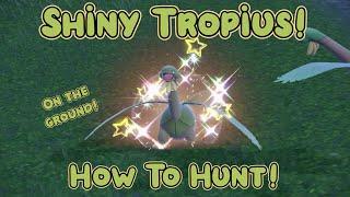 Shiny Tropius + How to Hunt Tropius - Pokemon Violet Badge Quest #13