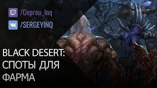 Black Desert Где фармить? в описании ссылка на новый гайд