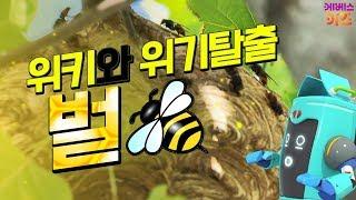 KBS키즈 위키와 위기탈출 ｜ KBS 자동공부책상위키 ｜ 벌 ｜ 벌 쏘임 사고 예방