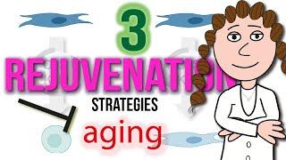 3 Rejuvenation Strategies For Aging.