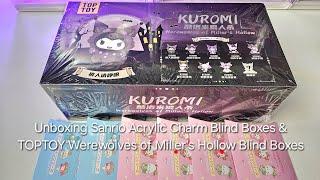 Unboxing Sanrio Acrylic Charm Blind Boxes & TOPTOY Werewolves Of Millers Hollow Blind Boxes