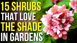 15 Shrubs That Love The Shade  Shrubs That Grow In Shade