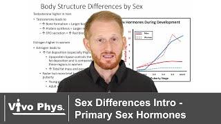 Sex Differences Intro - Primary Sex Hormones