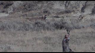 Giant Archery Mule Deer - Incredible Kill Shot