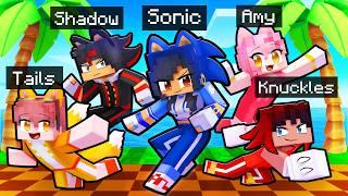 10 Friends on one SONIC BLOCK