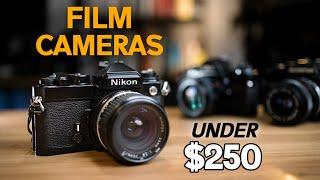 Best Value 35mm film SLR cameras
