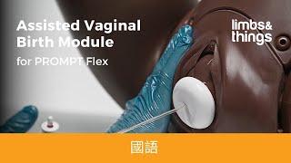 Assisted Vaginal Birth AVB for PROMPT Flex Mandarin subtitles