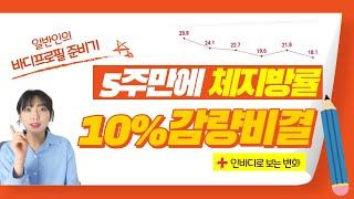 5주만에 체지방률 -10%감량 식단설명ㅣ직장인 바디프로필 준비ㅣ바디프로필 8주 챌린지ㅣ인바디 변화