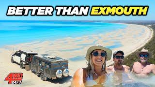 Australias BEST BEACH CAMPING No crowds and 4WD Only + Kangaroo Island Marron Catch & Cook