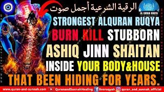 ULTIMATE RUQYAH SHARIAH TO BURN BAD SPIRIT  JINN  SHAYTAN  DEVILS  DEMONS IN YOUR BODY AND HOME.