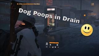 The Division Beta Dog Does Poop In Drain