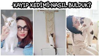 KAYIP DUASI VE KAYIP KEDİ NASIL BULUNUR? - KARLI HAVADA KEDİM SHİROYU BULMA OPERASYONU