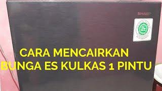 Tutorial Mencairkan Bunga es Pada Kulkas 1 Pintu