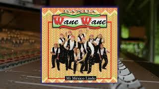 Banda Wane Wane - Y Bailo