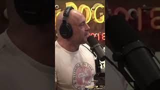 Joe Rogan Reveals the Truth About Steven Seagal