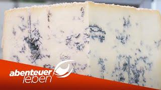 Das Geheimnis des italienischen Gorgonzola  Abenteuer Leben  Kabel Eins