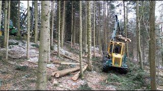 Holzschlag mit 2 Forstunternehmer 🪓 Forwarder und Vollernter