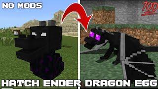 how to hatch a dragon egg in minecraft  Simple and effective method _100% workingJAVA & BEDROCK