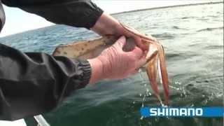 How to catch Squid Part 1 - SHIMANO FISHING