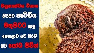 මනුෂ්‍යත්වය විනාශ කිරීමට පෘථිවිය මතුපිටට ආපු පොළොව යට සිරවී සිටි යෝධ ජීවීන්  Sinhala Movie Review