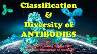 TYPES ANTIBODIES ANTIBODY DIVERSITY