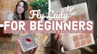 Beginner Guide To FLY LADY Entire System EXPLAINED