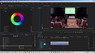 Правильный баланс белого и изоляция грязных цветов на видео в Adobe Premiere