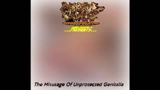 Menstrual Chunks Discorporated - The Misusage Of Unprotected Genitalia full comp