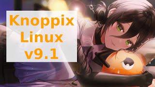 Knoppix Linux V9.1 Live Media Overview