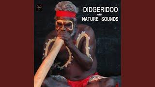 Didgeridoo Dreamtime with Gentle Healing Water Sound Didjeridu Healing Water and Aboriginal...