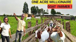 How He Makes PROFITS On An ACRE Of LAND  Feeds Housing Water for GOATS DEATILED