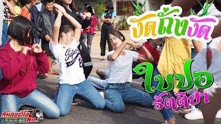 เอาเลย งัดถั่งงัด เด็ดจัดปลัดบอก งัดถั่งงัด cover