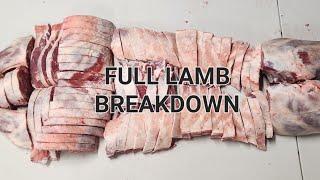 Full Breakdown Of A Lamb  Basic Step by Step Instructions