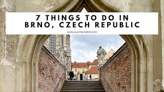 7 THINGS TO DO IN BRNO CZECH REPUBLIC  City Center  Restaurants  Nightlife  Museums  Parks