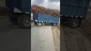Tractor mtz 80 sacando remolque de caña de azúcar  #mtz50 #belarusmtz50 #cuba