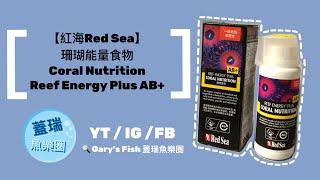 【蓋瑞魚樂圈】 Red Sea紅海 珊瑚能量食物Coral Nutrition Reef Energy Plus AB+ 餵食｜珊瑚吃飯啦｜最炫珊瑚飼料｜海缸PARTY TIME 多莉伺機而動?