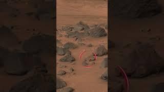 InfMars - Perseverance Sol 1162 - Shorts Video 3 Mount Washburn in Mars Jezero Crater