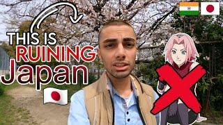 This is killing Japans SAKURA  Indian in Japan