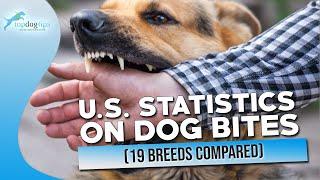 U.S.  Statistics on Dog Bites 2022 19 Breeds Compared