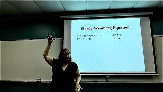 Hardy Weinberg - Allele Frequency Evolution