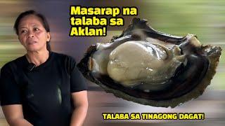 The best oyster in Aklan